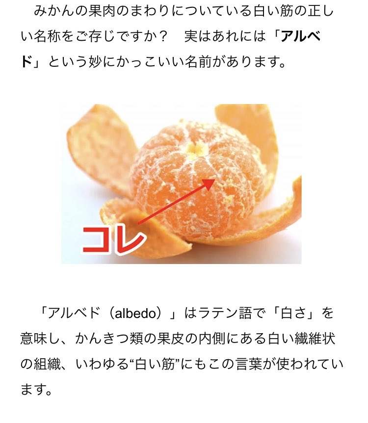 アルティメッとも R على تويتر この辺みてねぇな 白亜の申し子ってみて これかあってなった ラテン語で白 アルティメッとも R على تويتر この辺みてねぇな 白亜の申し子ってみて これかあってなった ラテン語で白