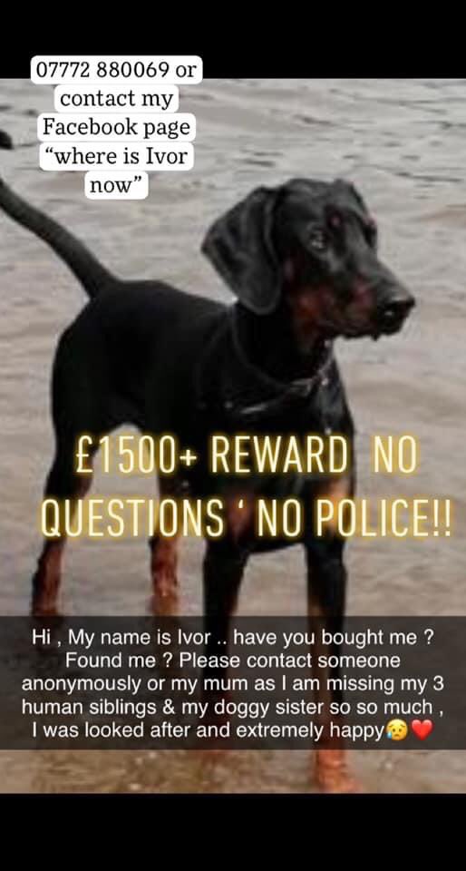 ⭐️⭐️ STILL MISSING⭐️⭐️. 1 year old 😥❤️
💫💫Kids are begging for their mum to get him home please help her 💫💫 Glasgow , but could be ANYWHERE😥 Owner Carmens Number below xx

facebook.com/groups/3934868…