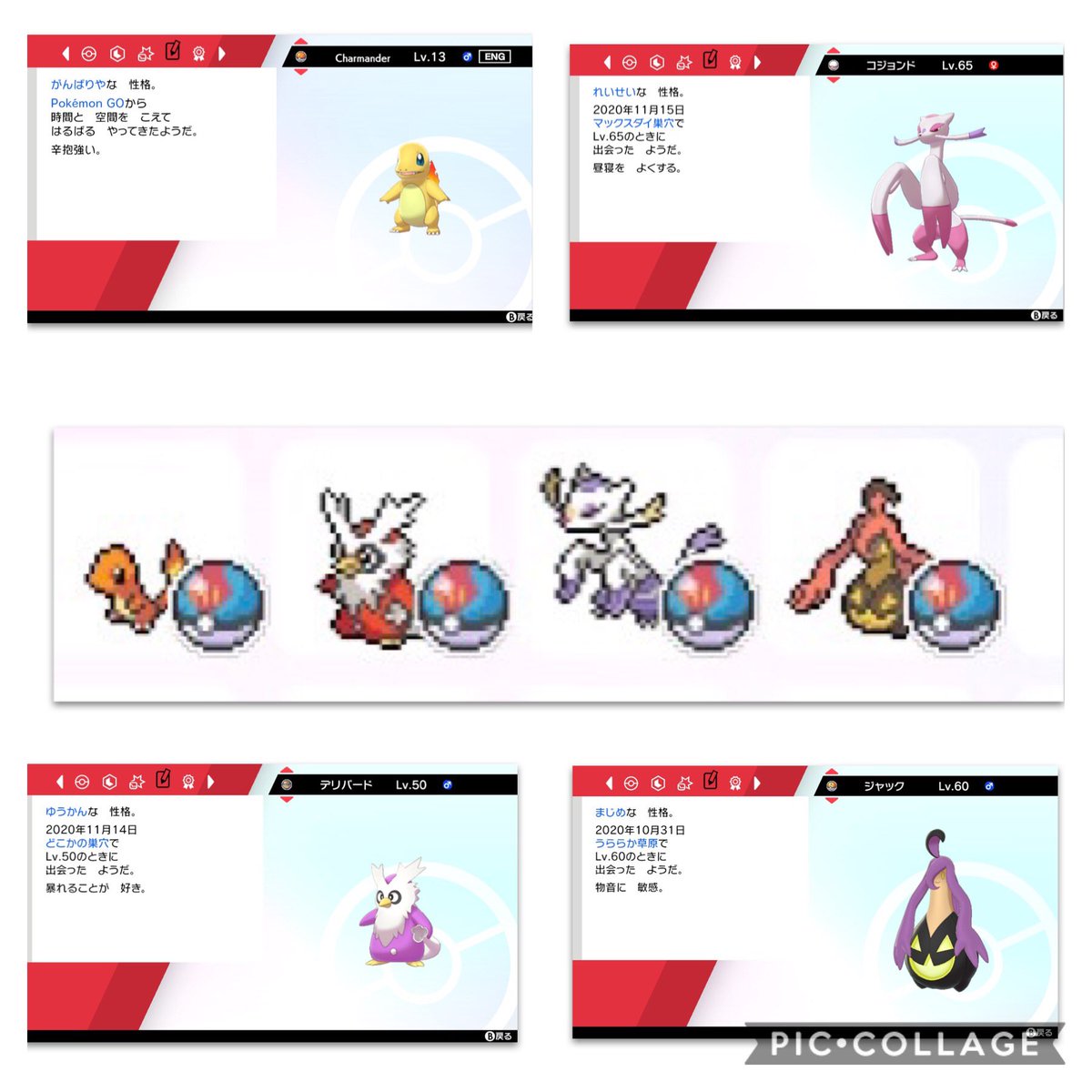 ルギア大好き ポケモン色厳選垢 Pokemon Iro Twitter ルギア大好き ポケモン色厳選垢 Pokemon Iro Twitter