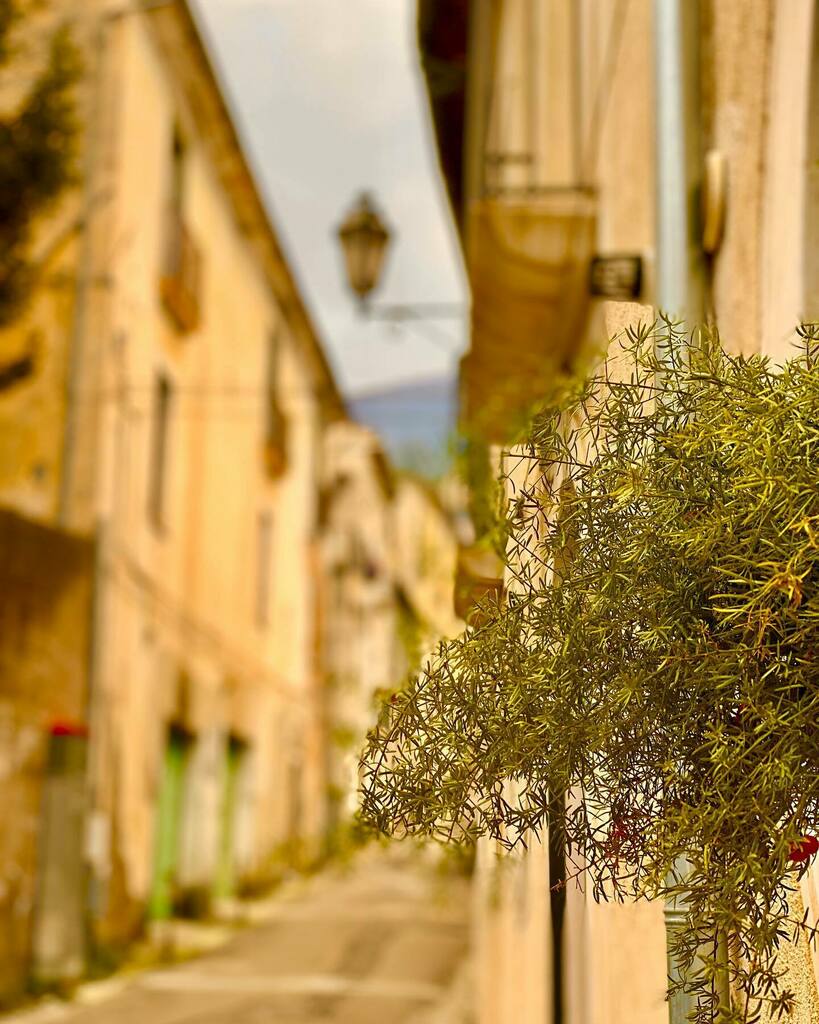 Wildfox Retrogames tweet media