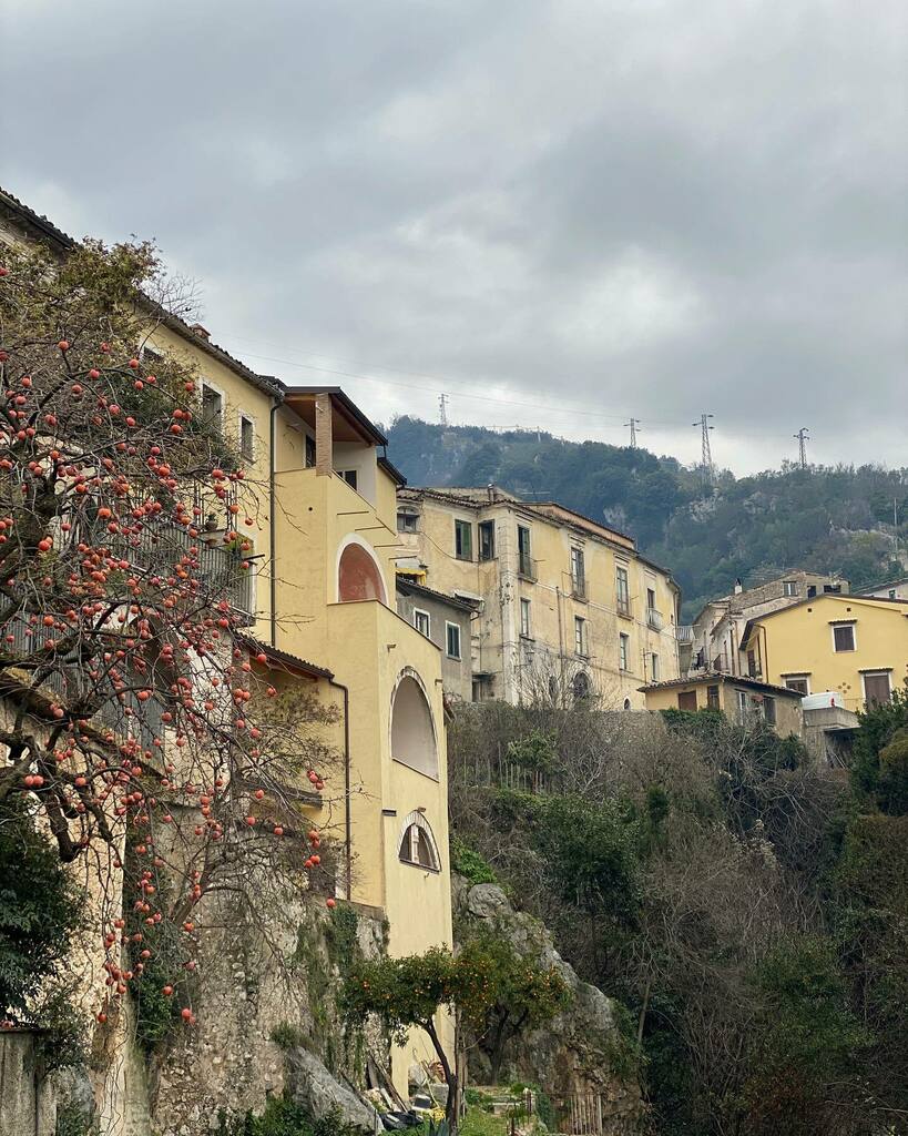 Wildfox Retrogames tweet media