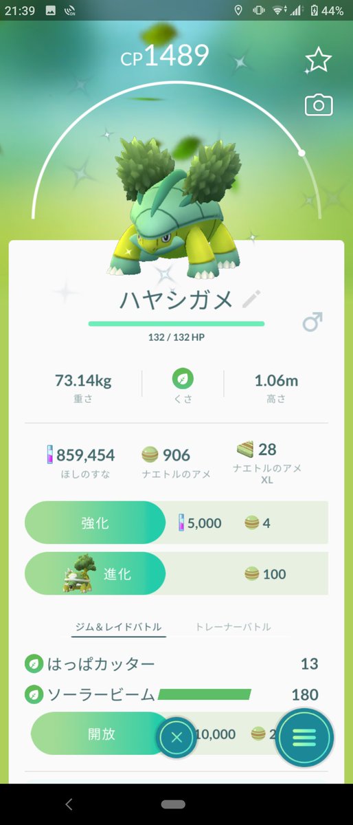 ポケモンgo ハヤシガメの色違い 入手方法と実装状況 攻略大百科