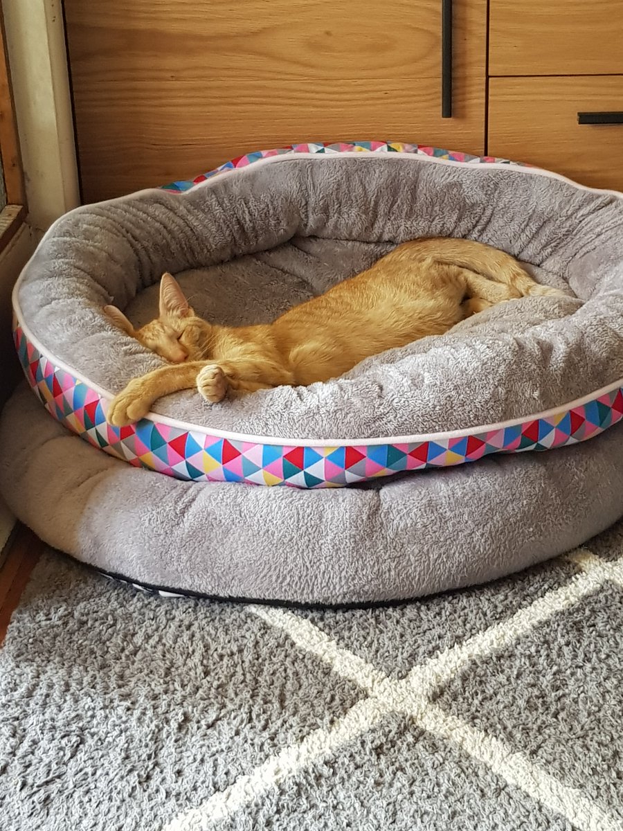 Coremaster23's tweet image. THE BIG MAN