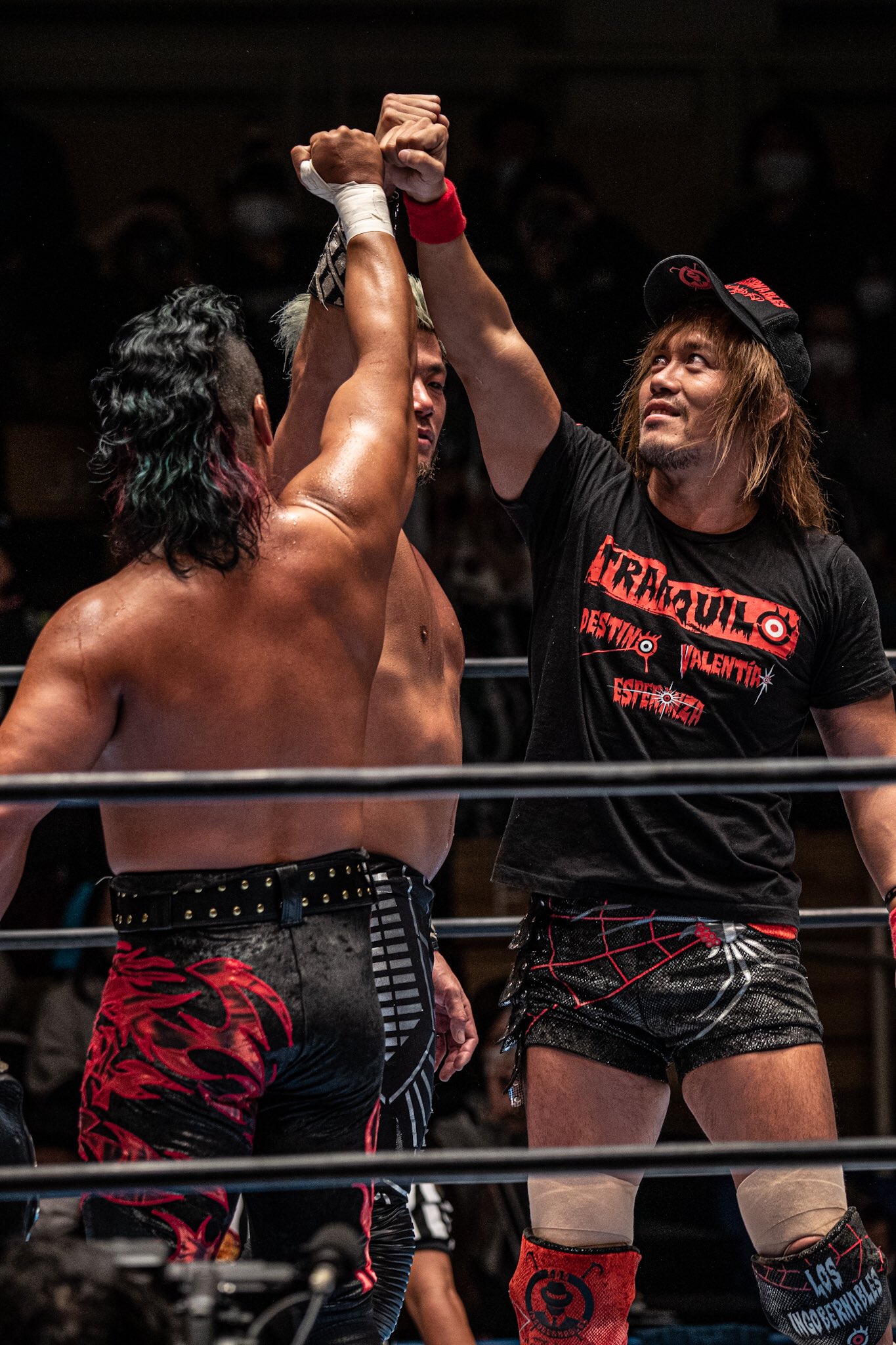定休日以外毎日出荷中 プロレスdvdまとめ など Chaos学園 内藤哲也 スポーツ フィットネス Kadowisudaku Com