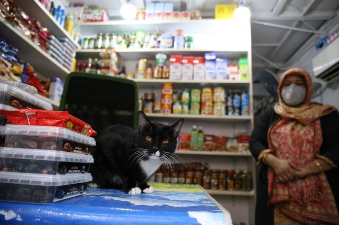 Further bonus content, this is Kaki, Lily's pal who lives with her in-store, apparently he's not eaten until her safe return