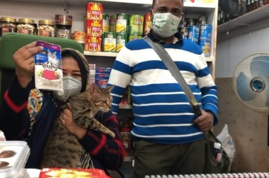 And Lily safely home, Meher has stated special wet cat food will be served later.Credit to  @hk01official for the story and pictures