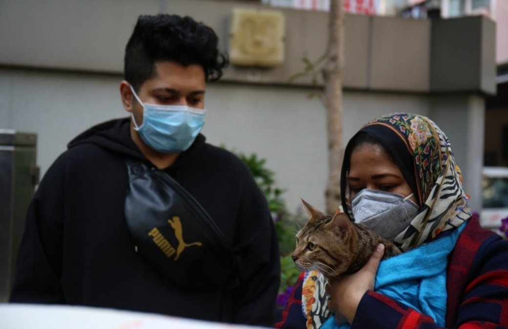 Lily being returned to Meher and Wayazer, who own the grocery store
