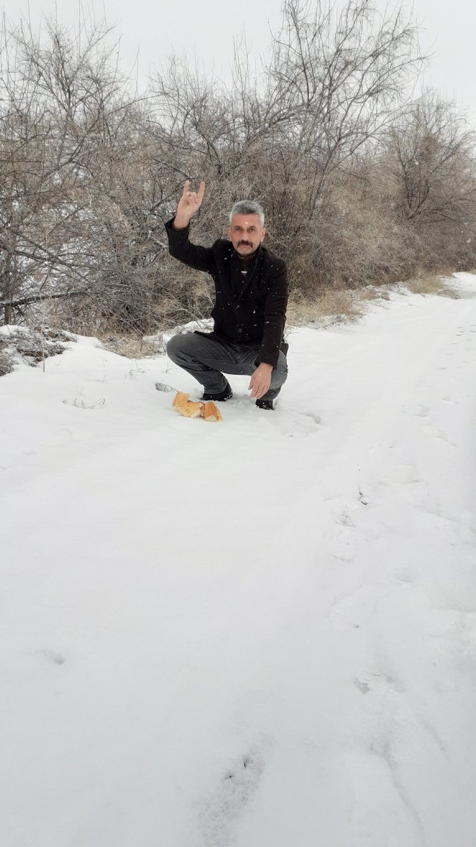 aliimir5050's tweet photo. "Kar yağmış dağlarına, üşüyen kurt kahrolsun!"

Ne doğadaki ne de sokaktaki dilsiz dostlarımızı unutmayalım... https://t.co/reLLnOFnLG