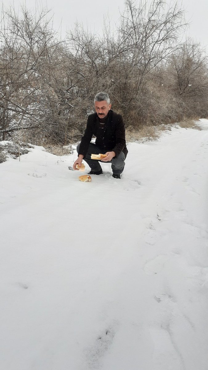 aliimir5050's tweet photo. "Kar yağmış dağlarına, üşüyen kurt kahrolsun!"

Ne doğadaki ne de sokaktaki dilsiz dostlarımızı unutmayalım... https://t.co/reLLnOFnLG