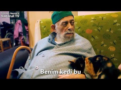 islamiahlak's tweet photo. 👇Cin Tayfasından Olan Kedi
https://t.co/8pDE1m1kcP

#pazar #MuratAlanHaddiniBil #EnGüzelTuristikYer https://t.co/SIhgHs25wQ