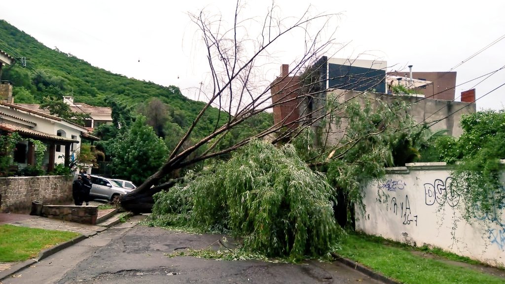 Nicokripper's tweet photo. #BuenDomingo para tod@s. 
Desde el 105 ☎️  de @GobCiudadSalta estamos trabajando en consecuencias de la lluvia ☔ 
#Salta https://t.co/dX8sqyfNA1