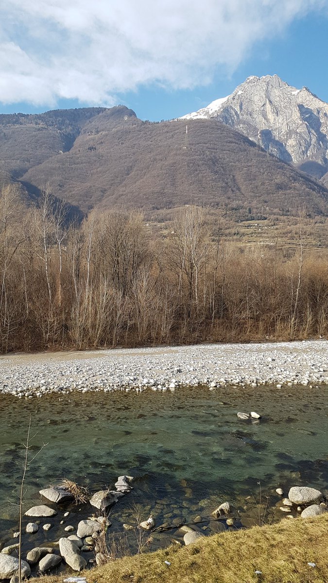 nandofnt's tweet photo. A sinistra, sulla sponda opposta. Le vedete? Due 🦆🦆 si lasciano trasportare dalla corrente. Le guardo, le saluto e un po' le invidio 👋 https://t.co/wNCBw0q4wU