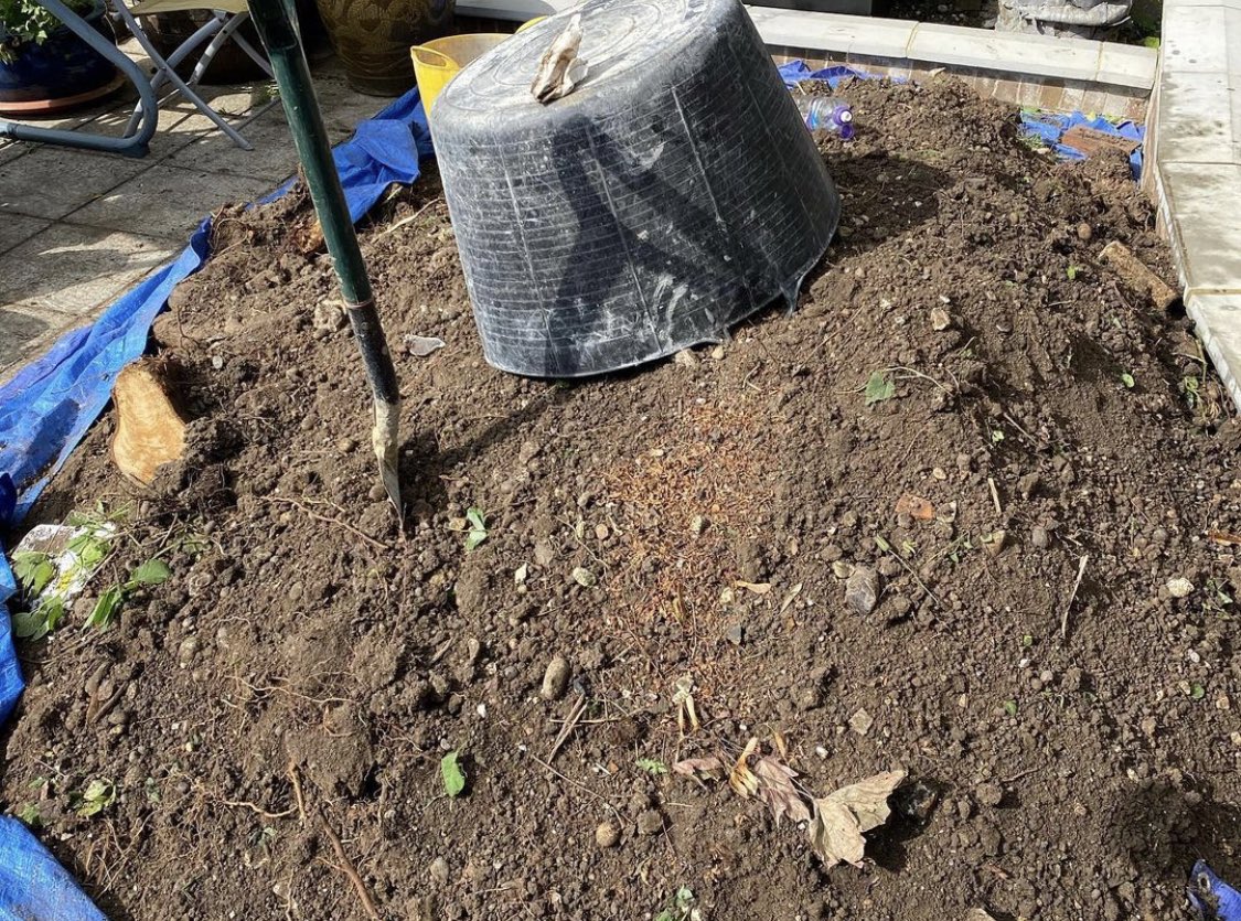 fast_builders's tweet photo. Digging and removing dirt so that a pond can now fit in this space for our client #pond #dig #digging #builders #construction #faststartbuilders #FSB https://t.co/yATPjCGSJr