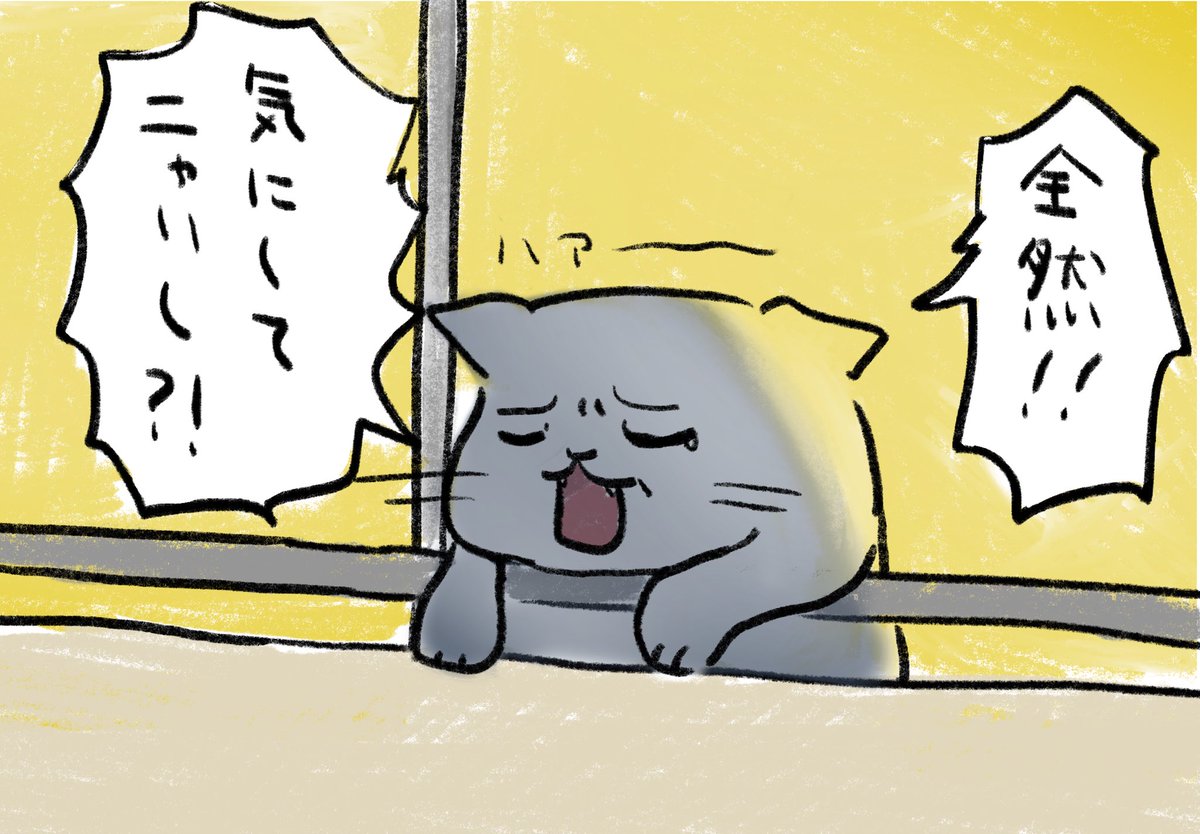 全然気にしてるねこちゃん。 