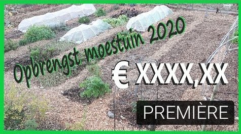 Over 5 minuten online!
Overzicht van 2020.
#moestuin #opbrengst #debiologischemoestuin #volkstuin #biologisch

youtu.be/y-m70Cujvns