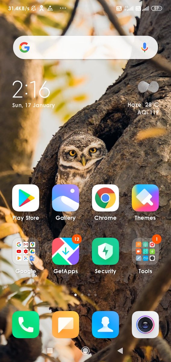 RanjitOganiya's tweet photo. Waiting for some more image of Gir and how is my mobile  wallpaper ??@aditiraval @GujaratTourism https://t.co/L9c1em7SmX