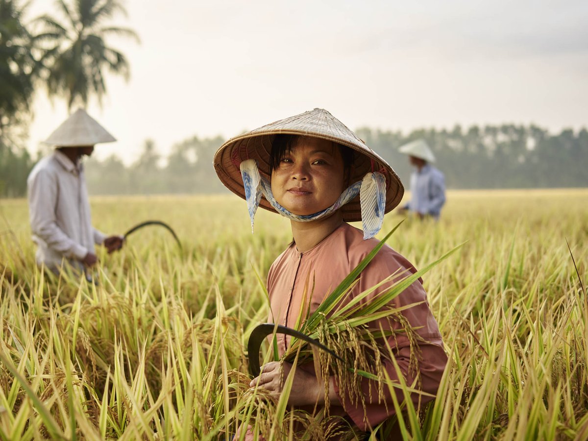 Nguyen, a rice farmer along Vietnam’s Mekong Delta.