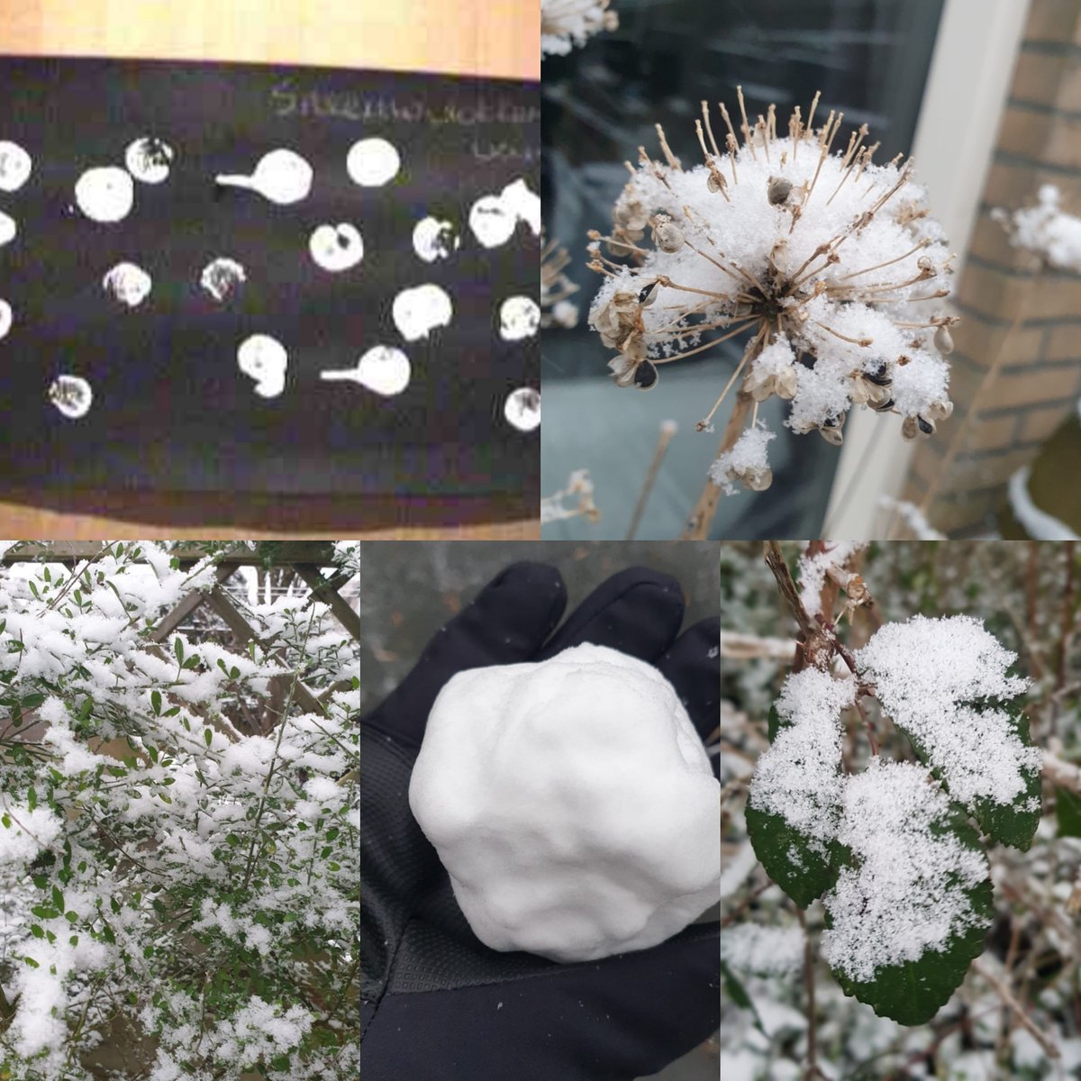 pinkelotje_nl's tweet photo. Vandaag de #internationaledagvandesneeuw. Kijk op https://t.co/bXwJrtftRO voor leuke #winter #knutsels.
#worldsnowday #knutselenisleuk #knutselenmetkinderen #diy #knutselidee #knutselideetjes https://t.co/Avtd3st20o