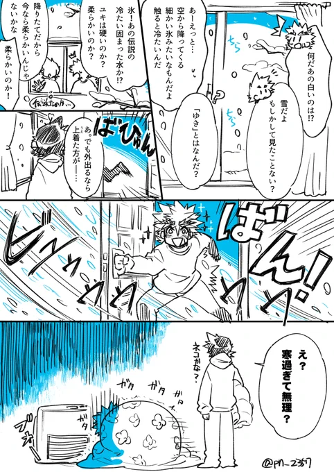 雪との遭遇 