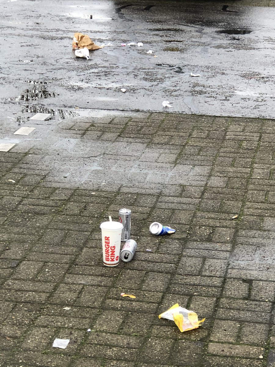 Mudomudo's tweet photo. #sneeuw #denbosch Het voordeel van sneeuw is dat het vanzelf weer verdwijnt. Deze troep ook maar dat moet een ander dan weer doen. https://t.co/IND8ejxwN2