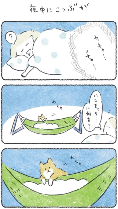 夜中に犬が秘密の行動をしていました
#豆しばこつぶ 