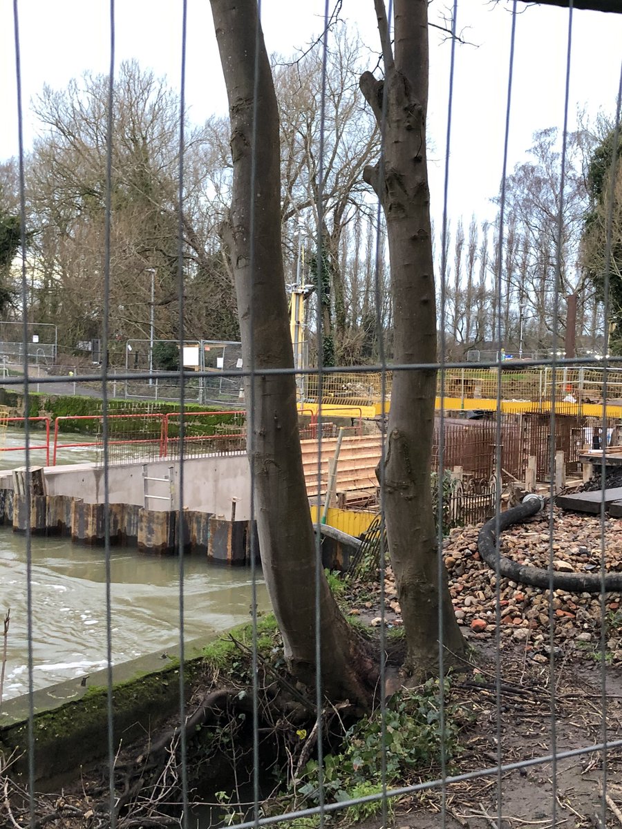 stouty26's tweet photo. Weekly update from my #cycle to @RdgHydro #Reading #caversham #riverthames @CanalRiverTrust @EnvAgency #readingbridge #ReadingWeir https://t.co/k1E4YKGWzX