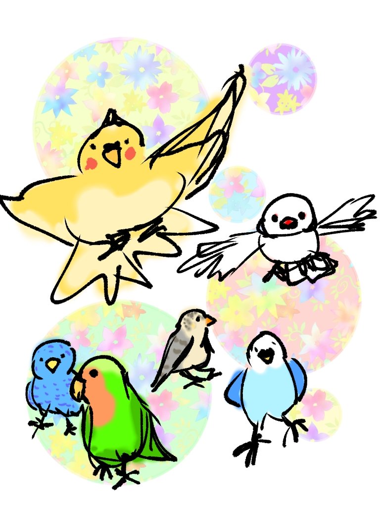 25 セキセイ インコ イラスト 無料 となり の トトロ イラスト 25 セキセイ インコ イラスト 無料 となり の トトロ イラスト
