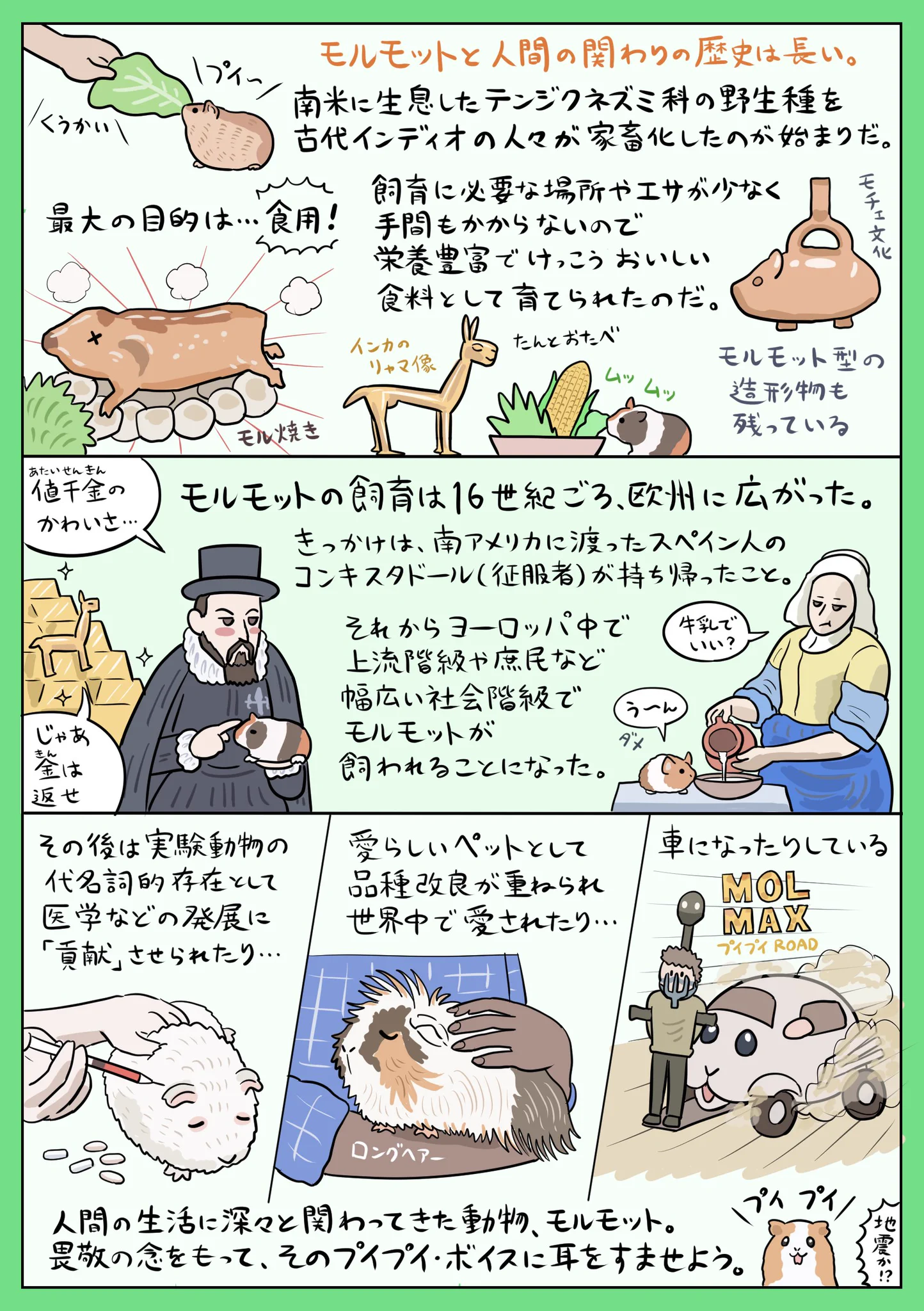 読めばきっと今より詳しくなれる！モルモットのあれこれをイラスト付きで解説したツイートが話題に！