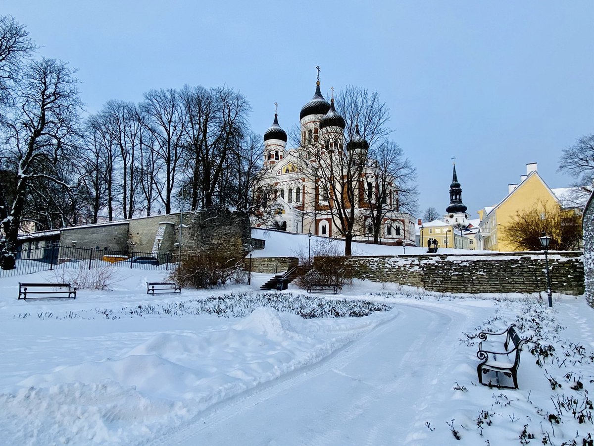 DKAMBinEstonia's tweet photo. Beautiful Tallinn... Best enjoyed with a walk and a hearty brunch! ๐ฉ๐ฐโค๏ธ๐ช๐ชโ๏ธโ๏ธ
#Tallinn #Estonia
#DanishQueenRoseGardenTallinn #Dannebrog800 #DK100EST #TOGETHER
#WeAreAllies
#WinterWonderland https://t.co/8s0mvoZ7KC