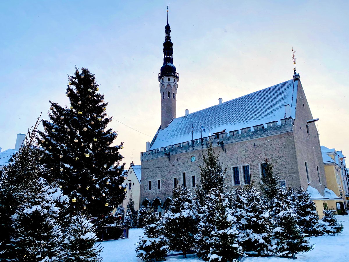 DKAMBinEstonia's tweet photo. Beautiful Tallinn... Best enjoyed with a walk and a hearty brunch! ๐ฉ๐ฐโค๏ธ๐ช๐ชโ๏ธโ๏ธ
#Tallinn #Estonia
#DanishQueenRoseGardenTallinn #Dannebrog800 #DK100EST #TOGETHER
#WeAreAllies
#WinterWonderland https://t.co/8s0mvoZ7KC
