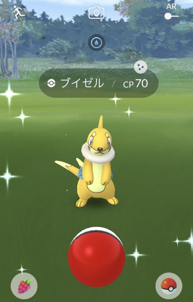 色違いブイゼル Twitter Search