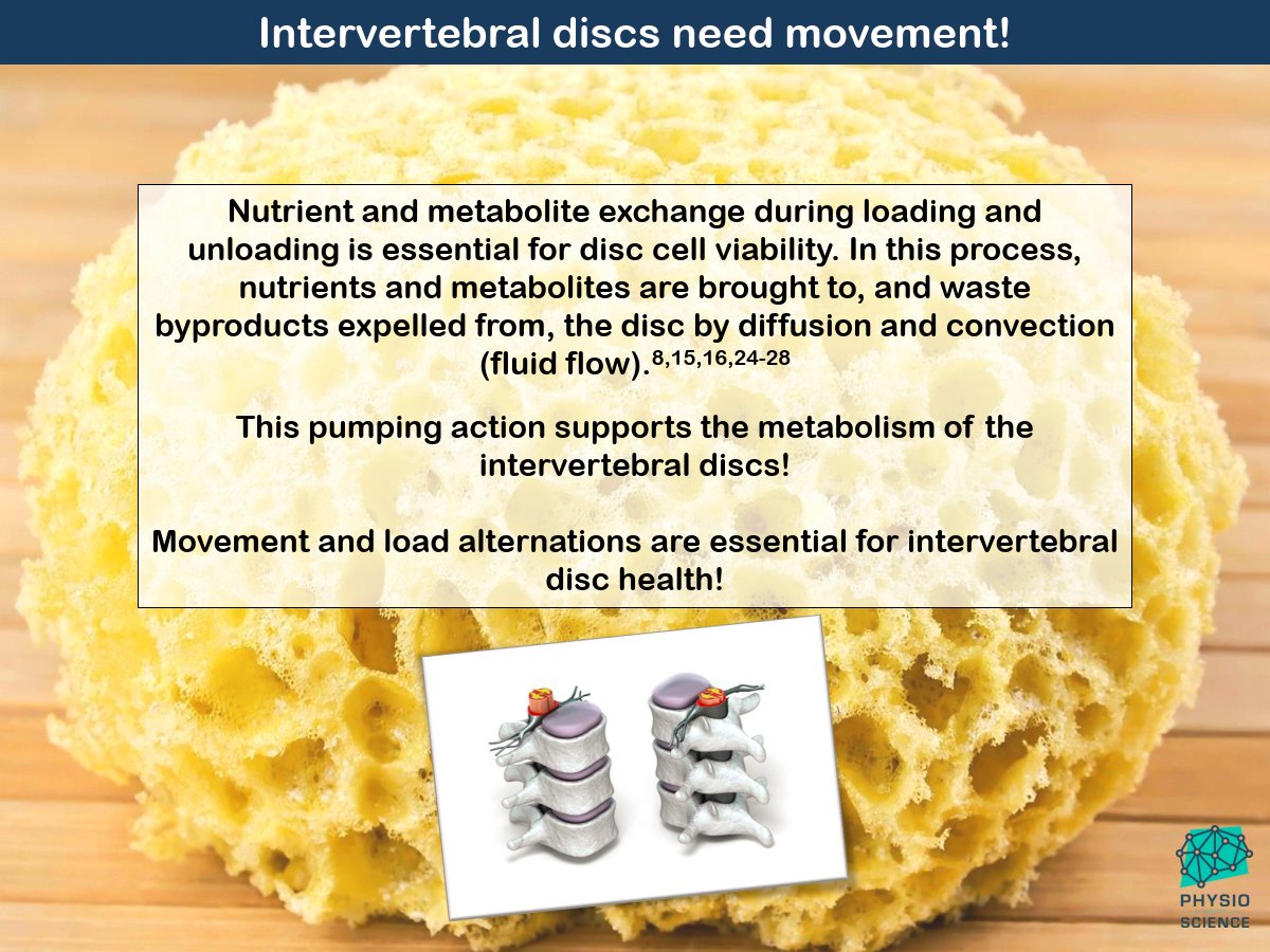 Load and intervertebral discs:Friend or foe?