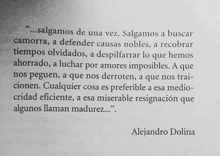 Sofía Merino tweet media