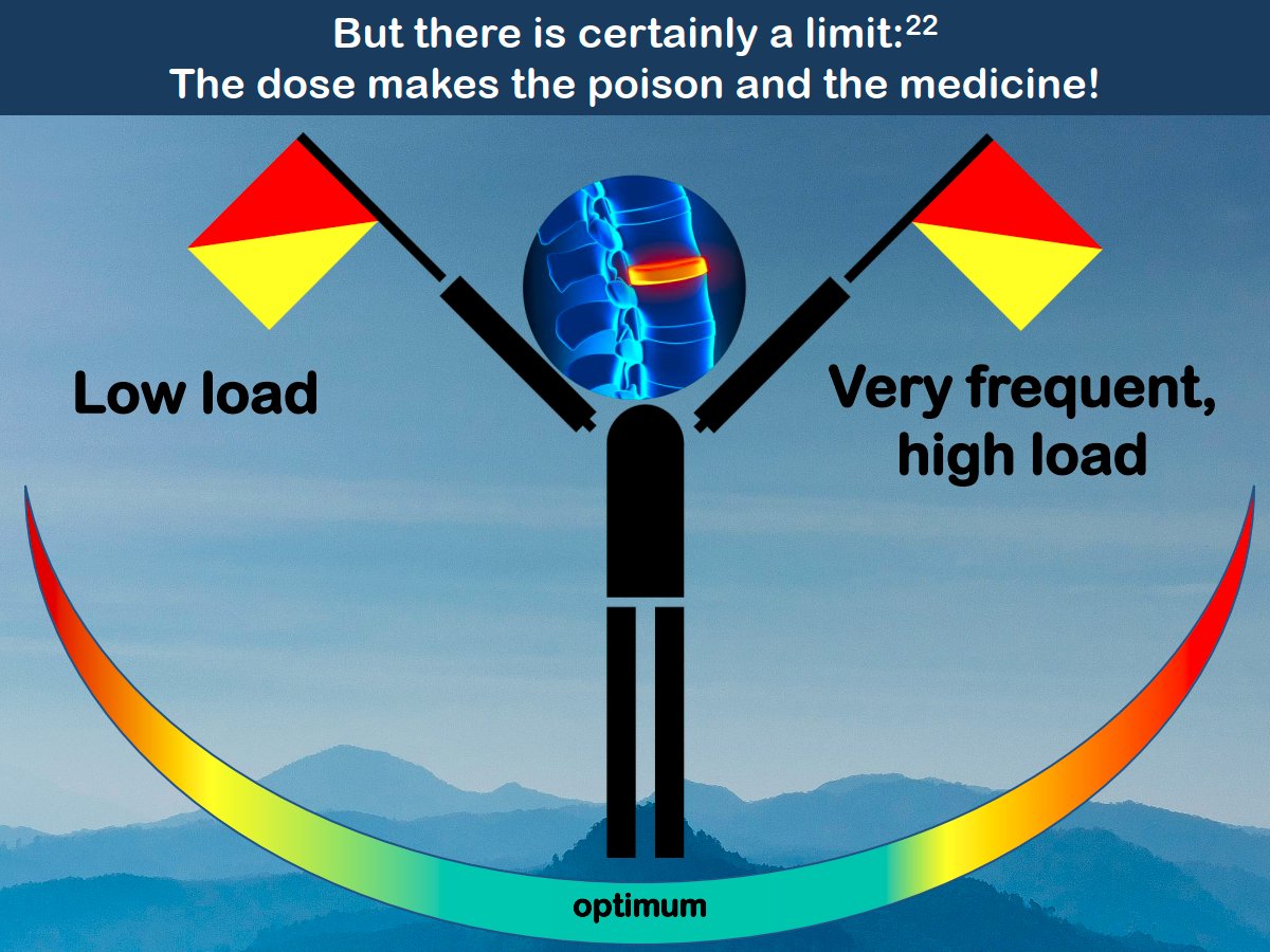 Load and intervertebral discs:Friend or foe?