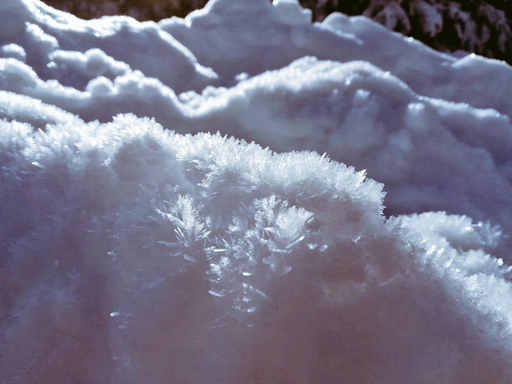 AndrejN7's tweet photo. Ice crystals https://t.co/56TzlIXHl7