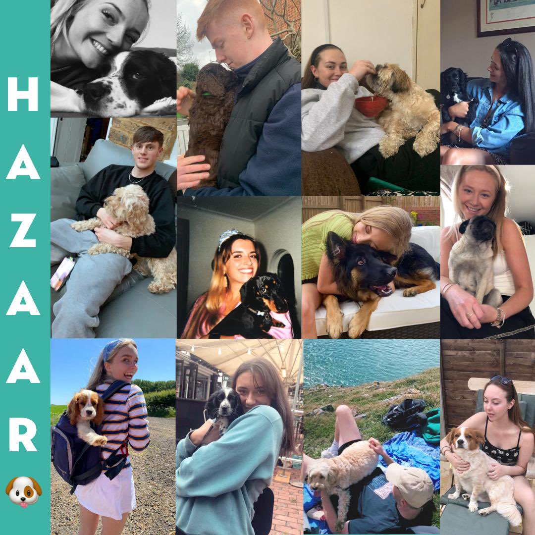 justhazaar tweet media