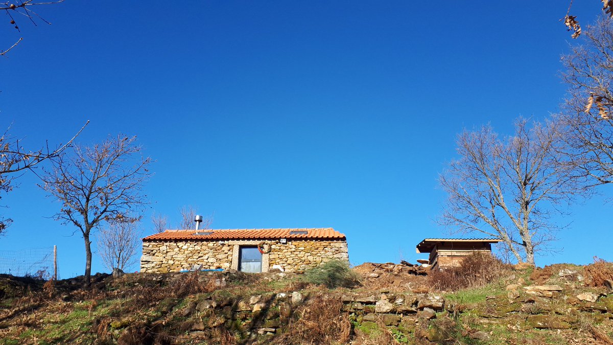 sradjy's tweet photo. Much I want to do
The baby countdown is on
Sunshine and blue skies
#homesweetfarm #offgrid #SundayHaiku https://t.co/C0NqYtuLu0