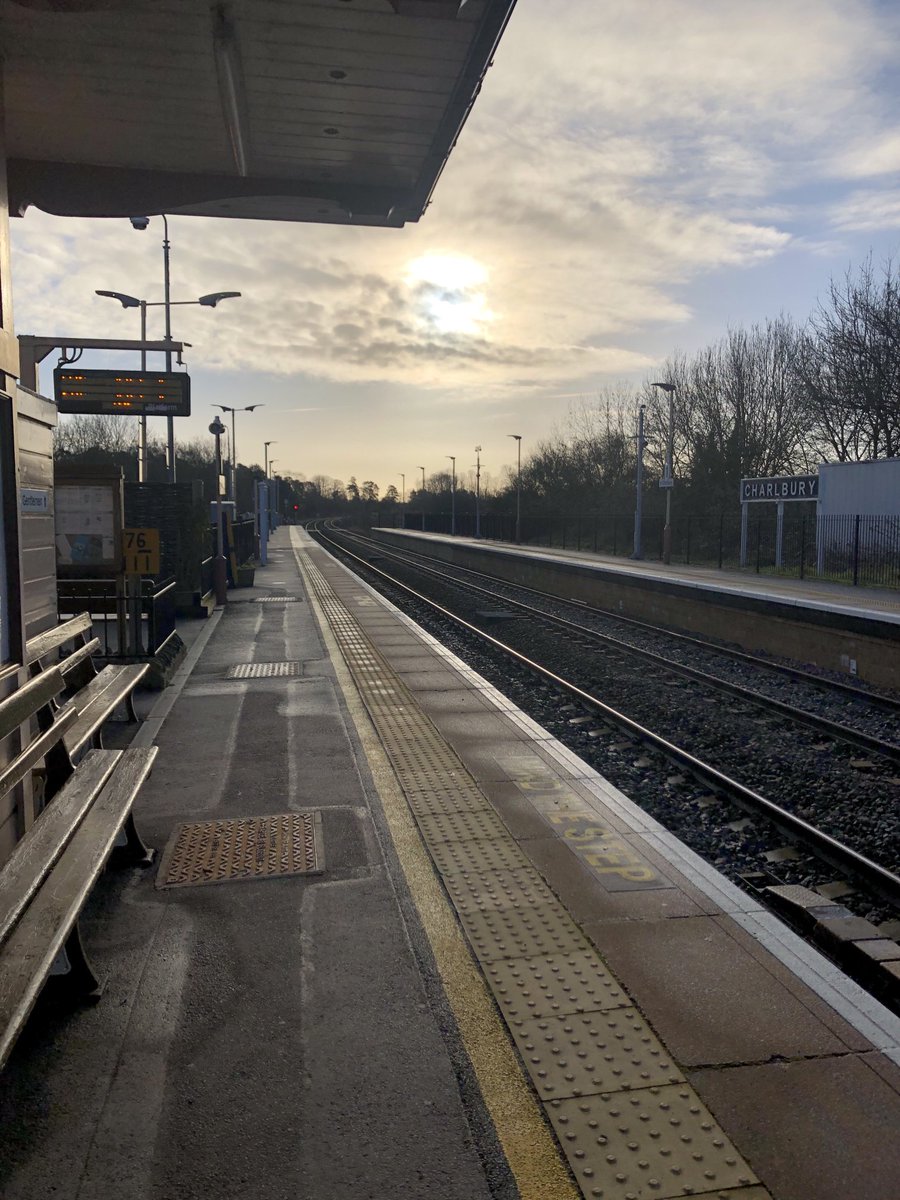 Steph Harrison-White 💙 tweet media