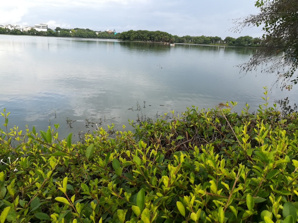mnayeem's tweet photo. Once upon a Lake!!!
#plantlover #nature #helloplantlover #photography #plants #greenery #naturephotography
#natureisanartist #naturesart #naturalcolors #plantlover #plantperson #naturephotograpgy https://t.co/tnEb2eCh5r