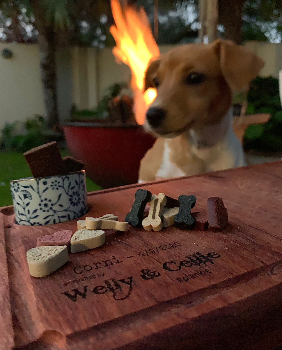 plankiebraai's tweet image. “Pull up a chair. Take a taste. Come join us. Life is so endlessly delicious.” Ruth Reichl #plankie #braaivleis #braaibroodjies #braai #lekker #specialmoments #lifeisgood #Foodie #ProudlySouthAfrican @plankiebraai @braaiplank @JuniperStLounge @Cellie_ThisIsMe @WellyOom