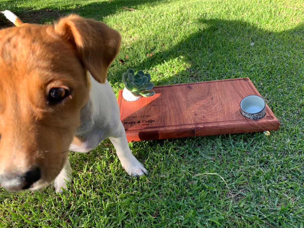 plankiebraai's tweet image. “Pull up a chair. Take a taste. Come join us. Life is so endlessly delicious.” Ruth Reichl #plankie #braaivleis #braaibroodjies #braai #lekker #specialmoments #lifeisgood #Foodie #ProudlySouthAfrican @plankiebraai @braaiplank @JuniperStLounge @Cellie_ThisIsMe @WellyOom