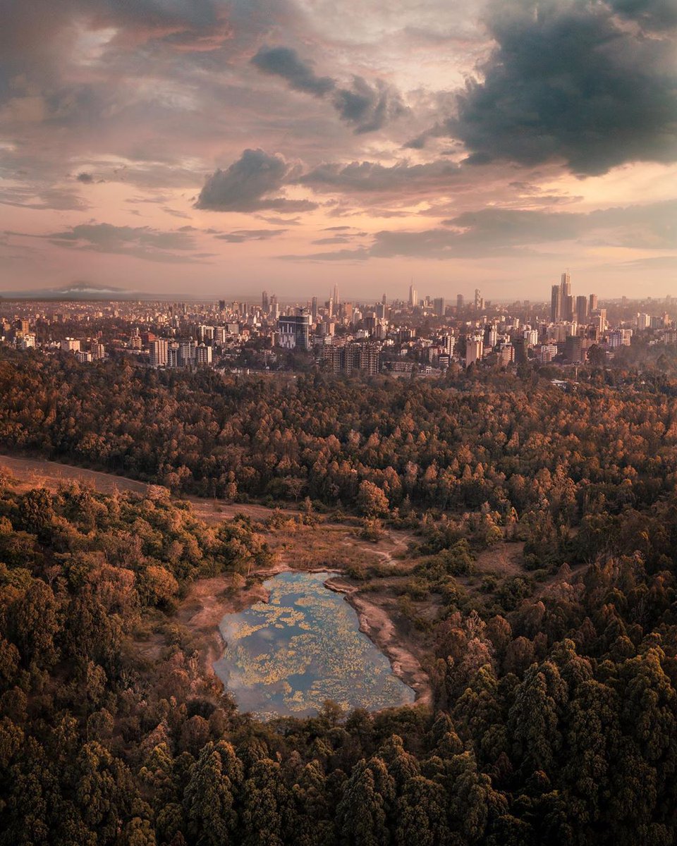 kenyapics's tweet photo. Warm toned panorama of the growing Nairobi skyline from Karura Forest. Luckily Mount Kilimanjaro and a pond found their way into the picture. Photo by @GhannamSamy https://t.co/9VXAW2VYHt