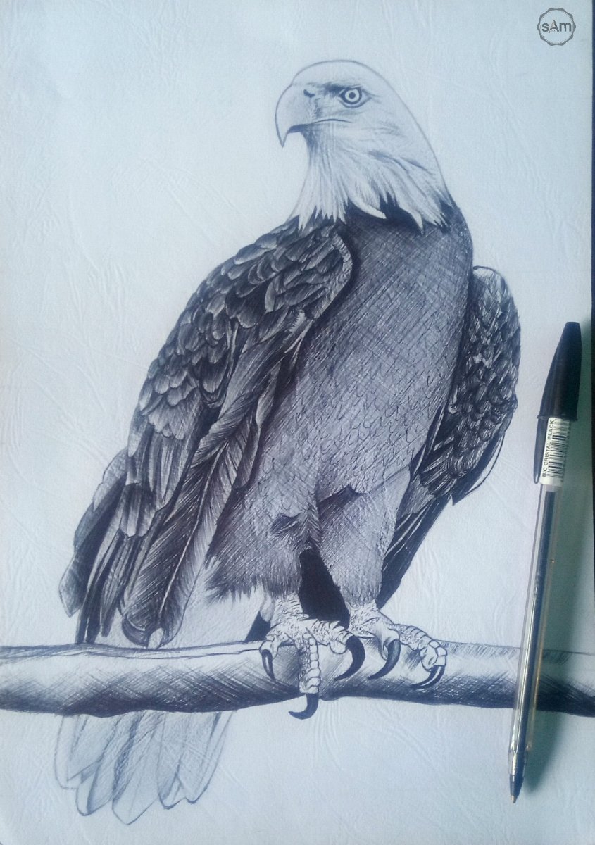 pencilartsam's tweet photo. Cross hatching https://t.co/HTdsXZyuOq