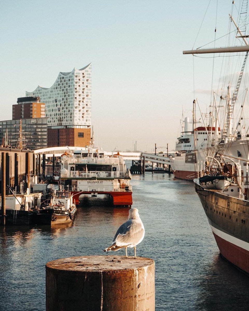 visitHamburg's tweet photo. What a lovely #Sunday in #Hamburg 💙 
#hamburgahoi #thatswhyhamburg 
Photo: hamburg_eyes https://t.co/KKfaA0Kav7