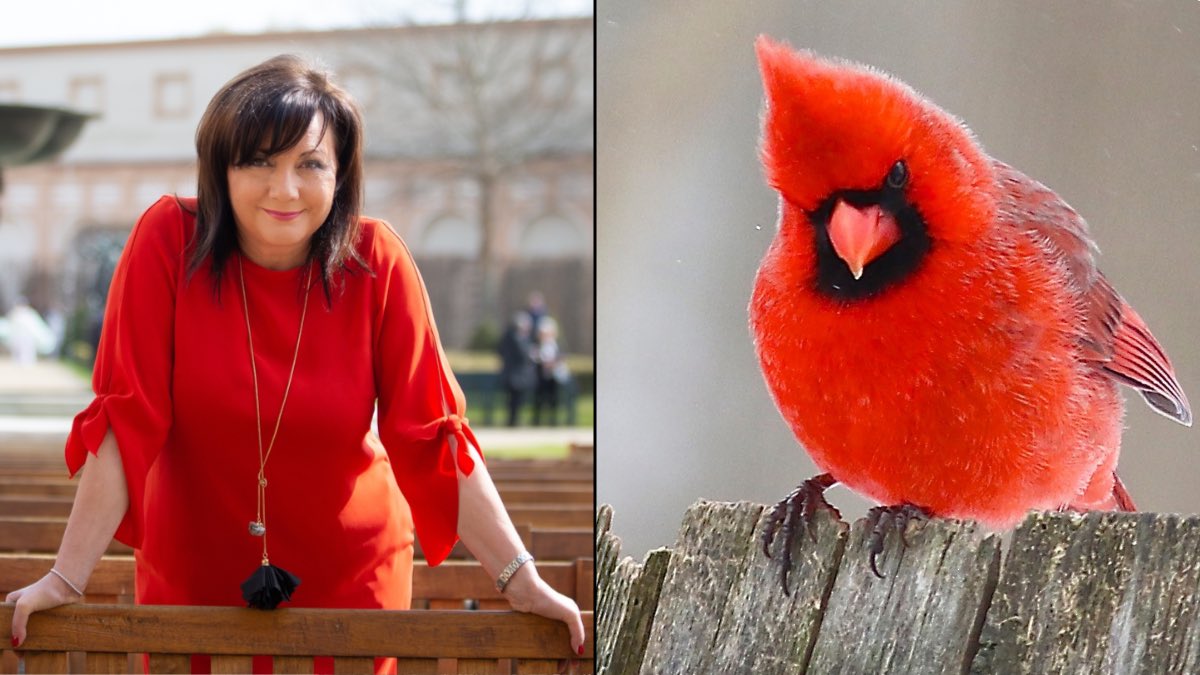 Alena Schillerová jako ptáci. 

Vlákno

1/12 

👇