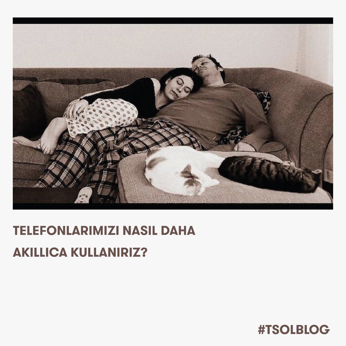 TSOL Istanbul tweet media