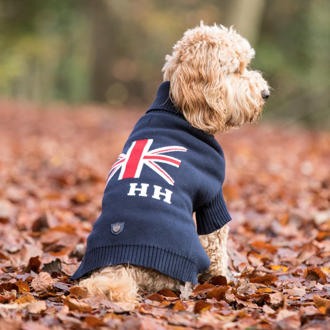 Keep your pampered pooch warm and stylish this winter with our super soft and cosy union jack turtleneck jumpers! Available in Navy and Grey. 

ow.ly/t0tX50D6hsa

#HugoAndHudson #Dogs #DogJumpers #DogClothes 
#PetAccessories #LondonDogs