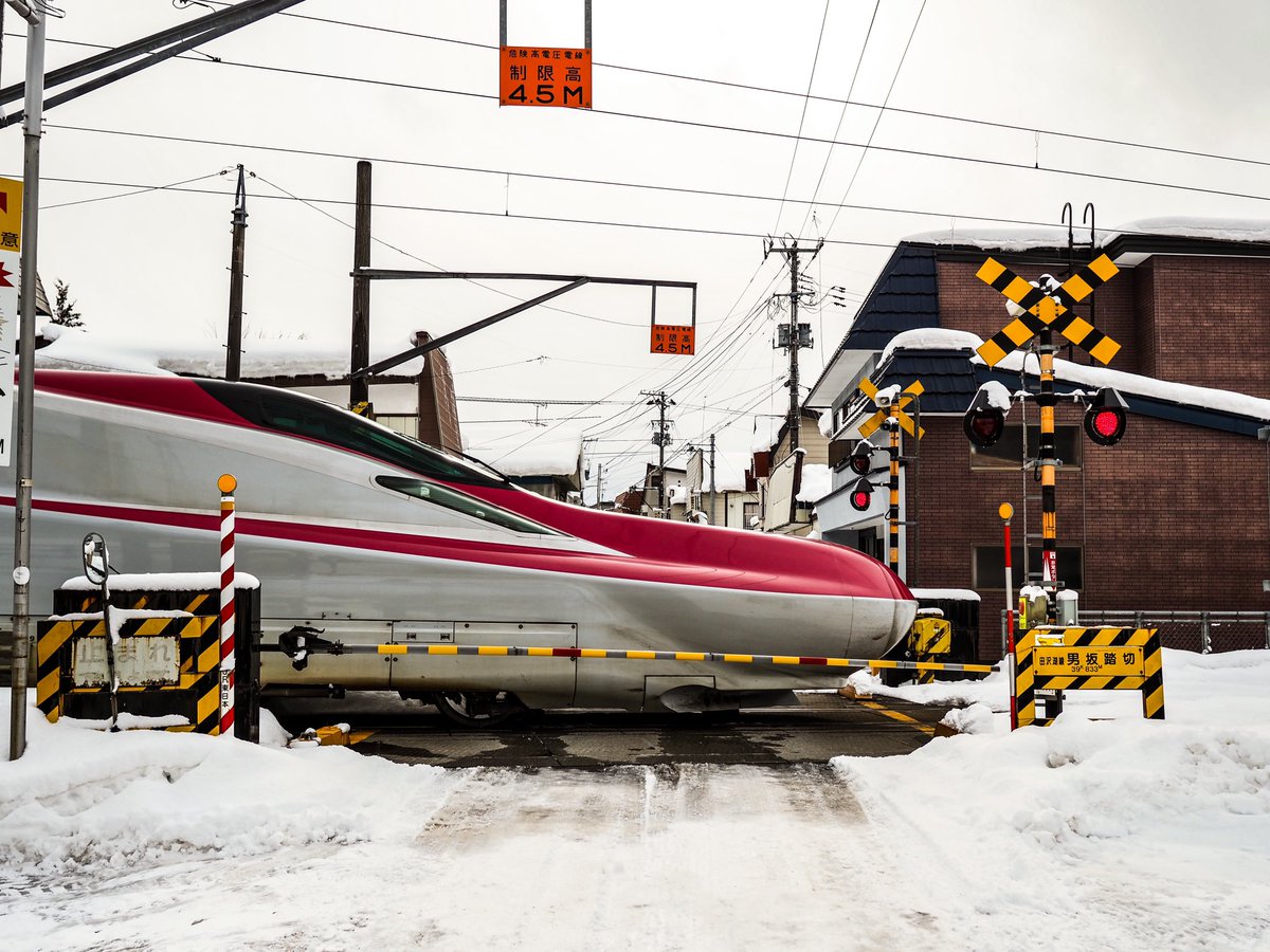 せんぼくびより