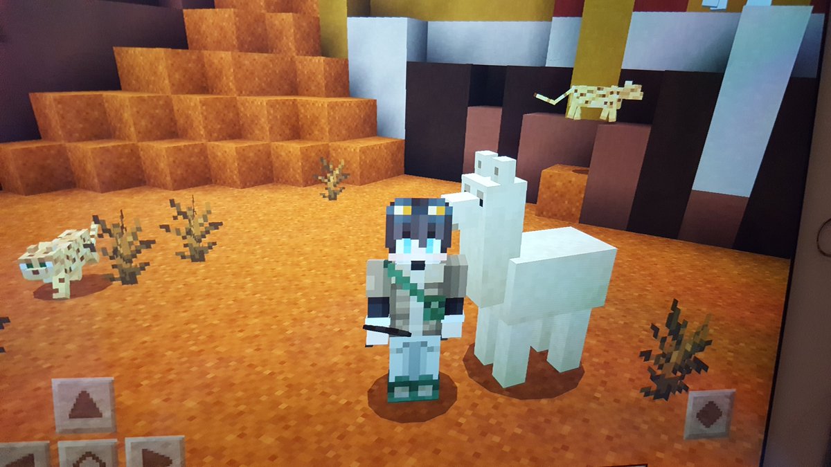 Louanna8's tweet photo. #wintercamptv
#16thStAlbansCubs
Finn Alcoes's Bear Grylls! https://t.co/xMbgmD2xlC
