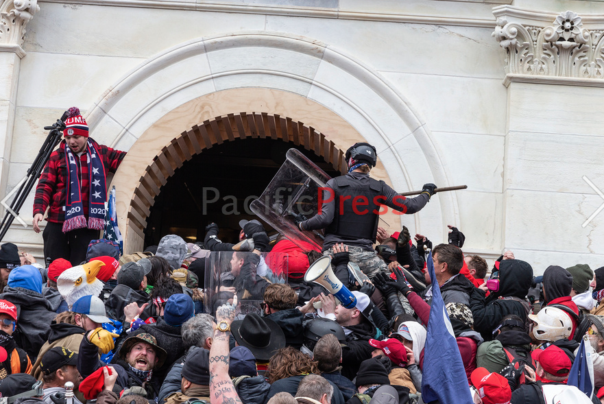  #PinkHatLady  #Bullhornlady